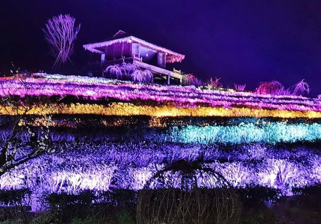 提高住院实际报销比例!河北最新明确